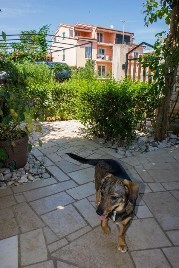 Apartmani Arijana Medulin Exteriér fotografie